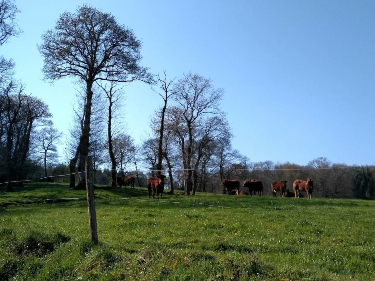 Gite Le Valet, T2 Classe 3 Etoiles, Entre Rennes Et Saint-Malo La Chapelle-aux-Filzméens Exterior photo